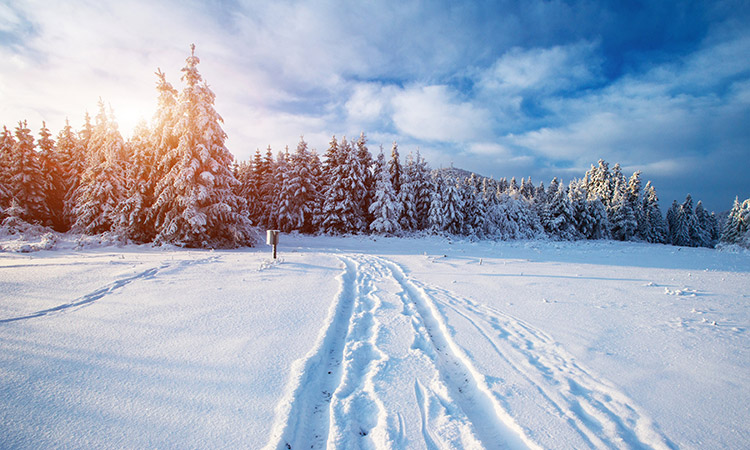 恒茂欣电子冬日服务,贴心温暖如春!